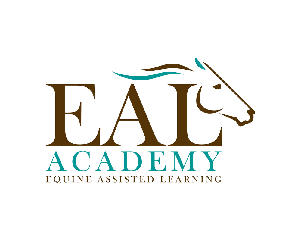 indrømme Overgang Myrde EAL Academy - Grow your horse business with Equine Assisted Learning